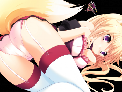 361065-wq5j8r8.png