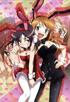 bunny_girl_strike_witches_charlie_gertrud_xlarge.jpeg