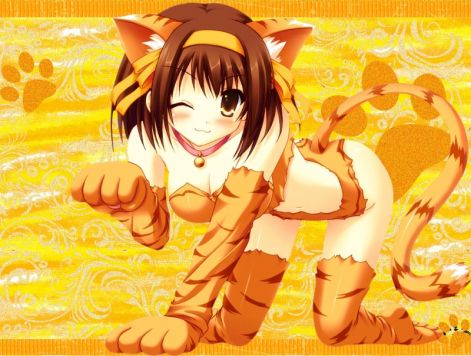 haruhi-neko-x3.jpg