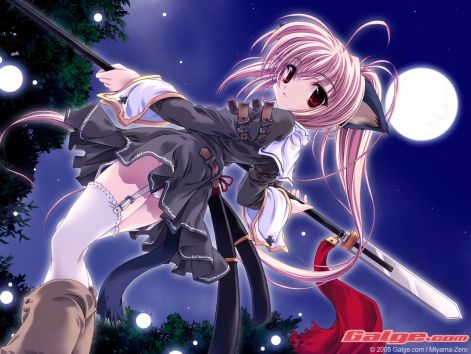 neko-anime-animal-girls-6629606-1280-960.jpg