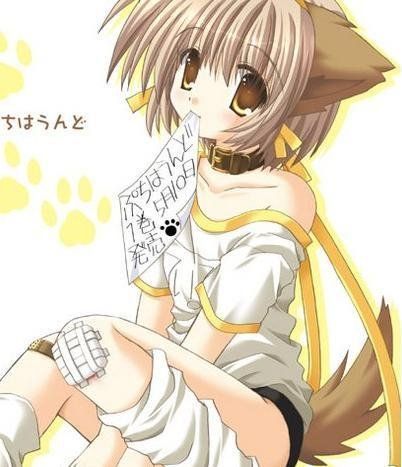 neko37.jpg