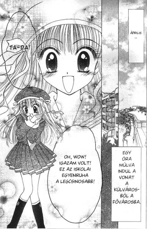 tokyo_mew_mew_a_la_mode_1.jpg