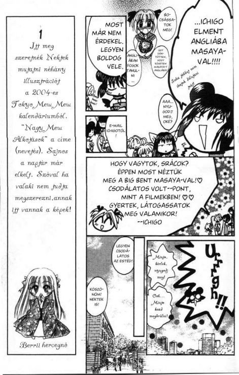 tokyo_mew_mew_a_la_mode_11.jpg