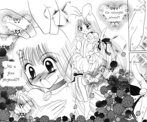tokyo_mew_mew_a_la_mode_30.jpg
