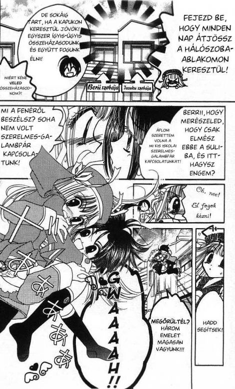 tokyo_mew_mew_a_la_mode_4.jpg