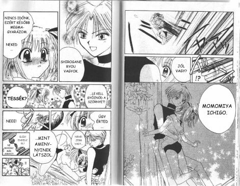 tokyomewmew1.17.jpg