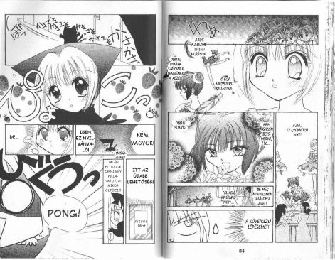 tokyomewmew_2.14.jpg