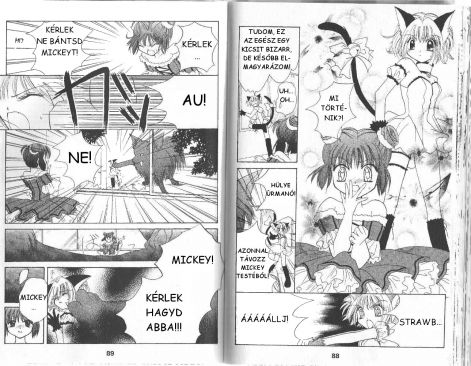 tokyomewmew_2.16.jpg