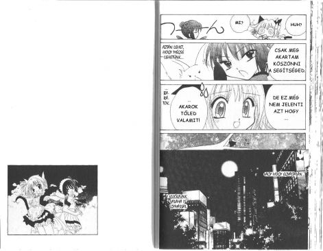 tokyomewmew_2.21.jpg