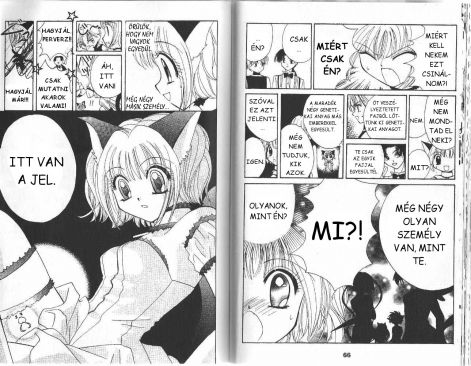 tokyomewmew_2.5.jpg