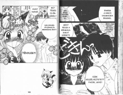 tokyomewmew_3.1.jpg